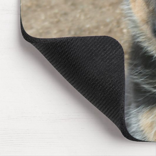 Duitse Muismat Shepherd Puppy (Hoek)