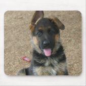 Duitse Muismat Shepherd Puppy (Voorkant)