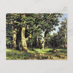 Duitse Oaks Evening door Schischkin Iwan Iwanowits Briefkaart