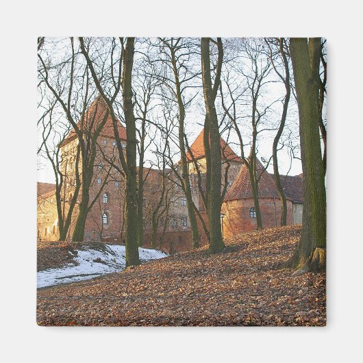 Duitse Orde kasteel Neidenburg - Magneet (Voorkant)