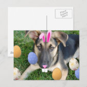 Duitse paaspap feestdagenkaart (Voorkant / Achterkant)