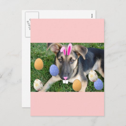 Duitse paaspap feestdagenkaart (Voorkant / Achterkant)