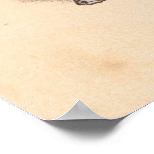 Duitse parelhoenders - Beieren Schliersee Poster (Hoek)