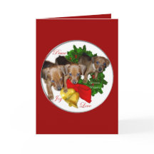 Duitse Pinscher-kerstcadeautjes