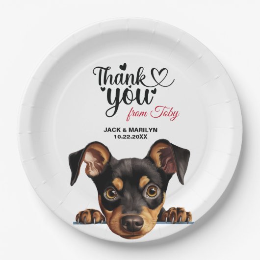 Duitse Pinscher Papieren Bordje (Voorkant)