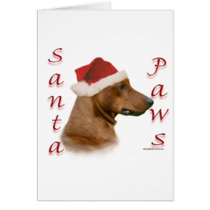 Duitse Pinscher Santa Paws