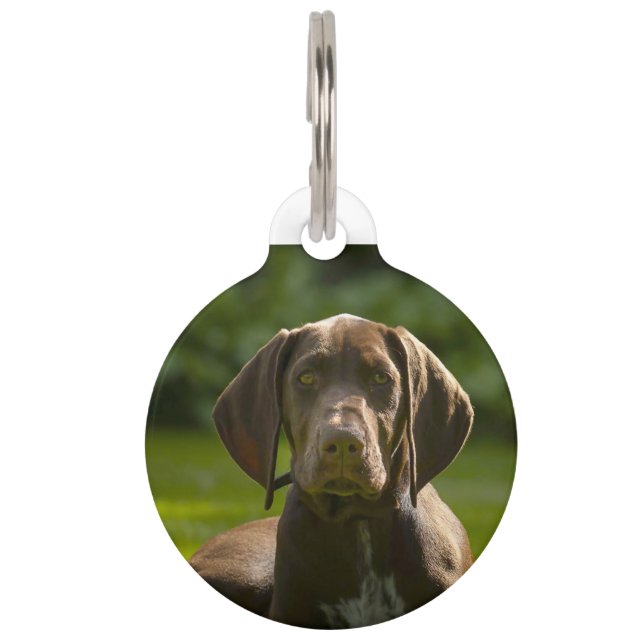 Duitse Pointer Dog. Huisdierpenning (Voorkant)