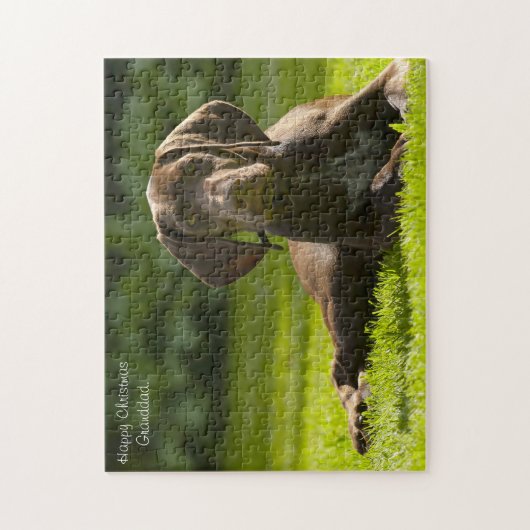 Duitse Pointer Dog. Legpuzzel (Verticaal)