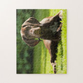 Duitse Pointer Dog. Legpuzzel (Verticaal)