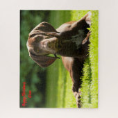 Duitse Pointer Dog. Legpuzzel (Verticaal)