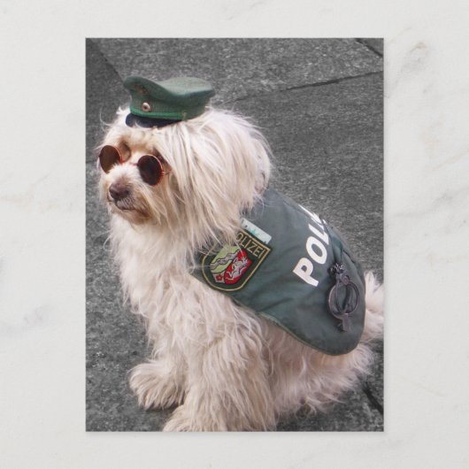 Duitse politie doet handboeien aan briefkaart (Voorkant)