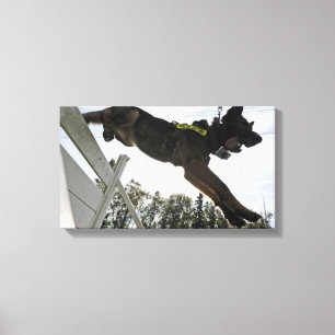 Duitse politie-hond Shepherd Canvas Afdruk
