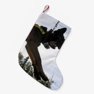 Duitse politie-hond Shepherd Kleine Kerstsok