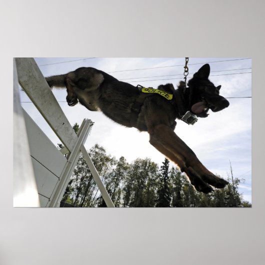 Duitse politie-hond Shepherd Poster (Voorkant)
