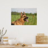 Duitse poster Shepherd Dog print (Keuken)