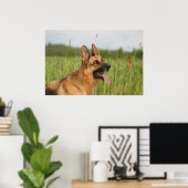 Duitse poster Shepherd Dog print (Thuiskantoor)