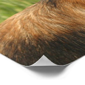 Duitse poster Shepherd Dog print (Hoek)