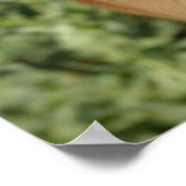 Duitse poster Shepherd Dog print (Hoek)