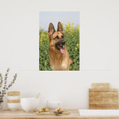 Duitse poster Shepherd Dog print (Keuken)