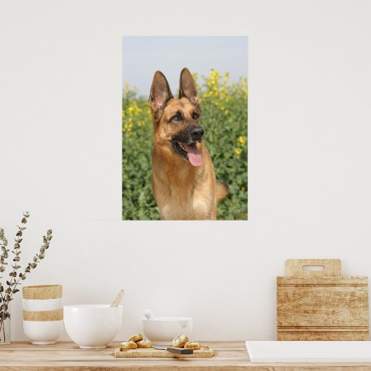 Duitse poster Shepherd Dog print (Keuken)