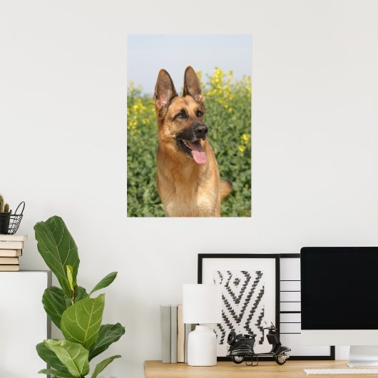 Duitse poster Shepherd Dog print (Thuiskantoor)