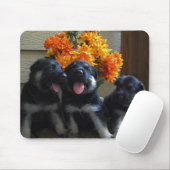 Duitse Puppies van schapen Muismat (Met muis)