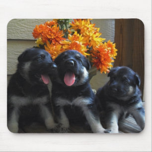 Duitse Puppies van schapen Muismat