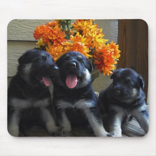 Duitse Puppies van schapen Muismat (Voorkant)