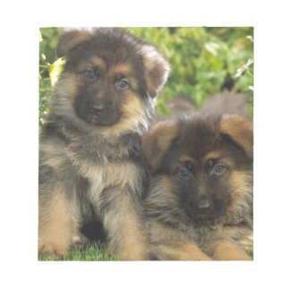 Duitse Puppies van schapen Notitieblok