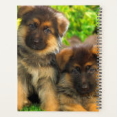 Duitse Puppies van schapen Planner (Achterkant)