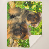 Duitse Puppies van schapen Sherpa Deken (Voorkant)