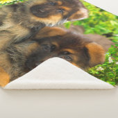 Duitse Puppies van schapen Sherpa Deken (3/4)