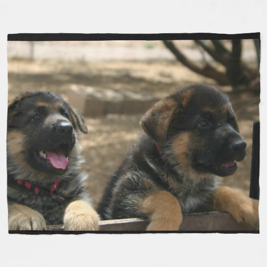 Duitse Puppies van Shepherd Fleece Blanket Deken (Voorkant (Horizontaal))