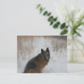 Duitse schaafhond in sneeuwstorm briefkaart (Staand voorkant)