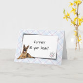 Duitse schaapherder verliest sympathie kaart (Gele Bloem)