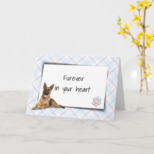 Duitse schaapherder verliest sympathie kaart (Gele Bloem)