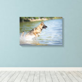 Duitse schaapherreepjes in water canvas afdruk (Insitu (Houten vloer))