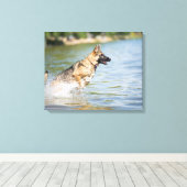 Duitse schaapherreepjes in water canvas afdruk (Insitu (Houten vloer))