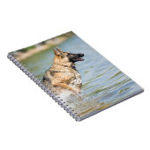 Duitse schaapherreepjes in water notitieboek (Rechterzijde)