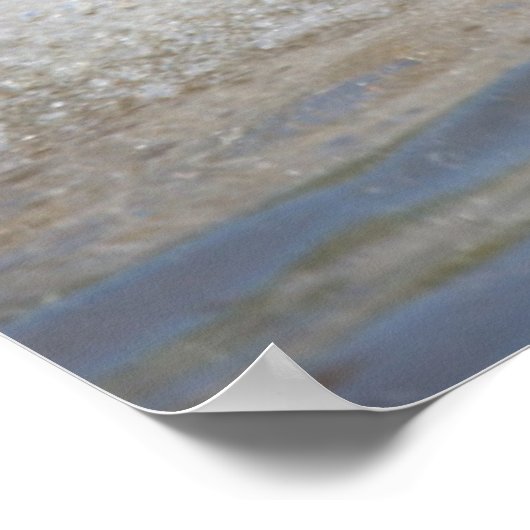 Duitse schaapherreepjes in water poster (Hoek)