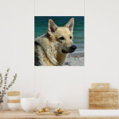 Duitse schapen van het Zee Poster (Keuken)