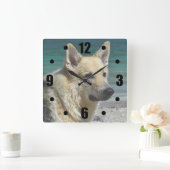 Duitse schapen van het Zee Vierkante Klok (Huis)