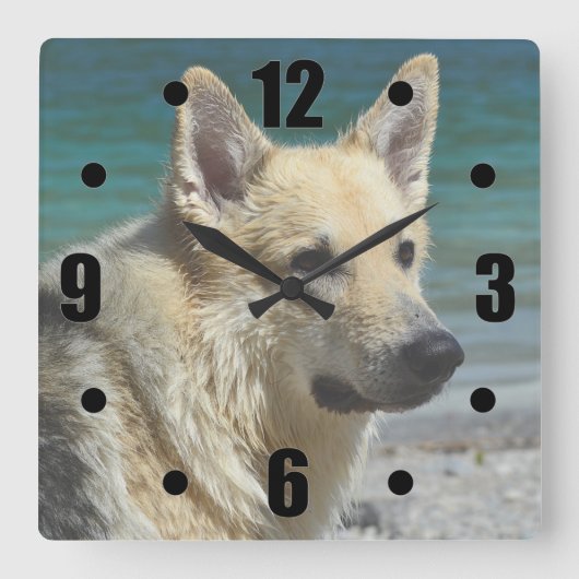 Duitse schapen van het Zee Vierkante Klok (Voorkant)