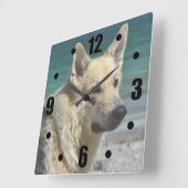 Duitse schapen van het Zee Vierkante Klok (Hoek)