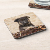 Duitse schapenhouderij in mandje bier onderzetter (Linkerzijde)