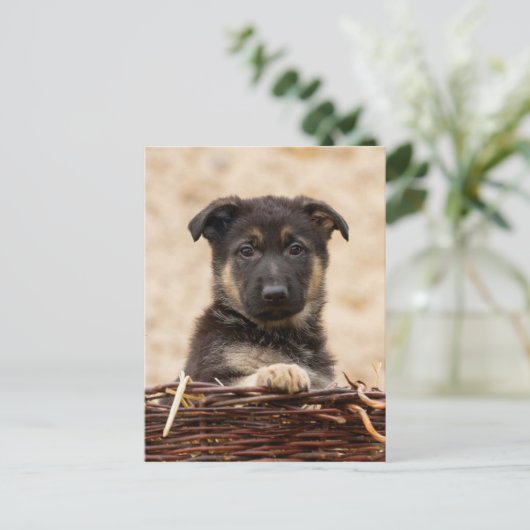 Duitse schapenhouderij in mandje briefkaart (Staand voorkant)