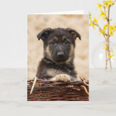 Duitse schapenhouderij in mandje kaart (Gele Bloem)