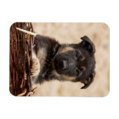 Duitse schapenhouderij in mandje magneet (Horizontaal)