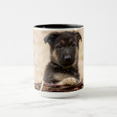 Duitse schapenhouderij in mandje mok (Midden)