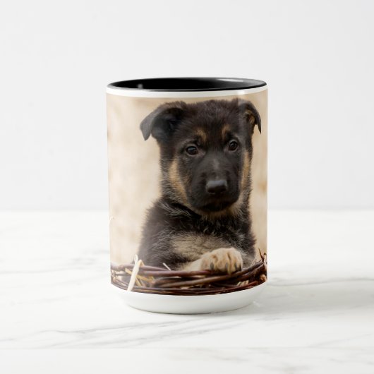 Duitse schapenhouderij in mandje mok (Midden)